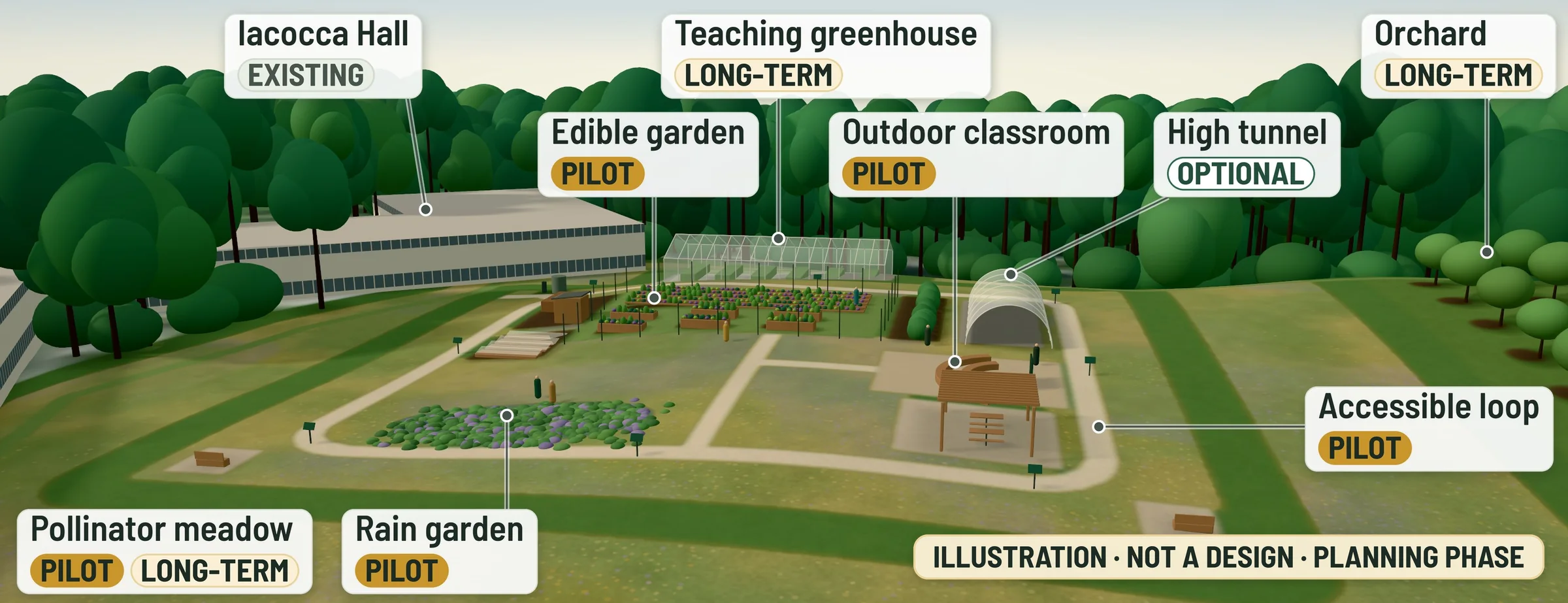 Labeled illustrative aerial view looking north across the East Summit Lawn beside Iacocca Hall. Labels: edible garden, outdoor classroom, rain garden and accessible loop, pilot; pollinator meadow, pilot and long-term; high tunnel, optional; teaching greenhouse and orchard, long-term; Iacocca Hall, existing. A chip in the bottom-right corner reads “Illustration · not a design · planning phase”.